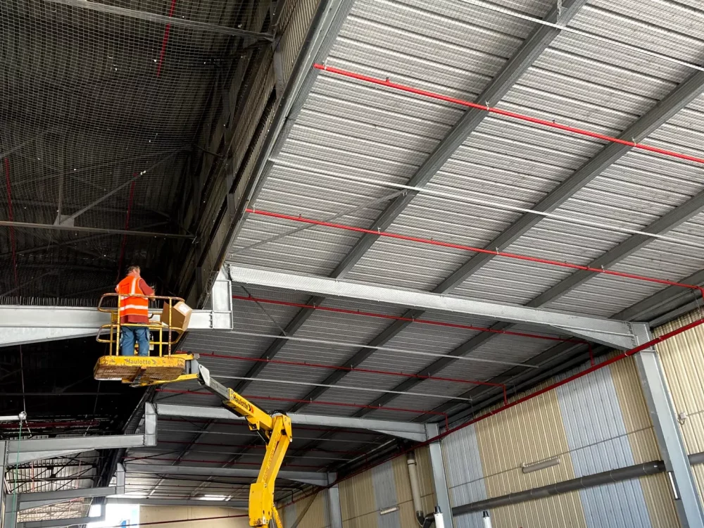 Chantier filets anti nuisibles